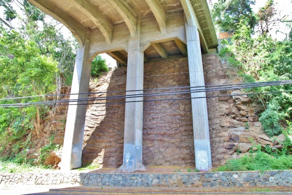 Puowaina